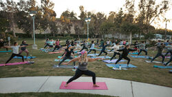 Fitness Frenzy: Pool Side Yoga
