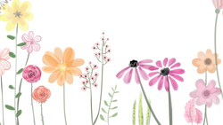 SBH Self-Care Fair