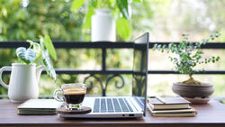 SD Winter (202603) Midterm Exams (DDS, IDP, & DH)