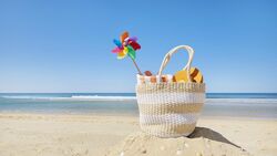 SD Summer Academic Recess (DDS, IDP, & DH)