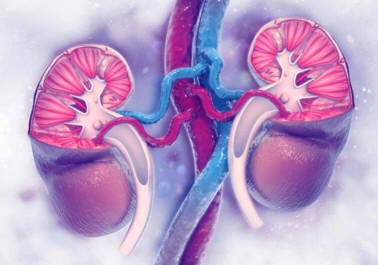 2025 Rare Kidney Disease Conference