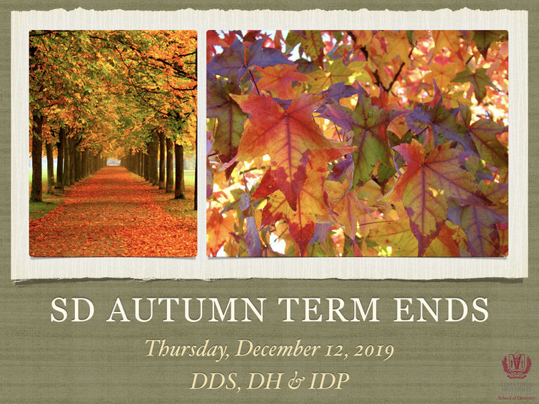 SD Autumn Term Ends (DDS, DH & IDP)