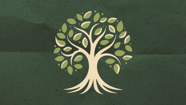 Rooted for Growth: Using Townsend's Growth Tree to Deepen Client Transformation