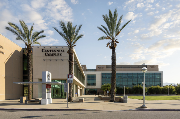 Annual Dalton Baldwin Memorial Lecture: Tihomir  Lazic