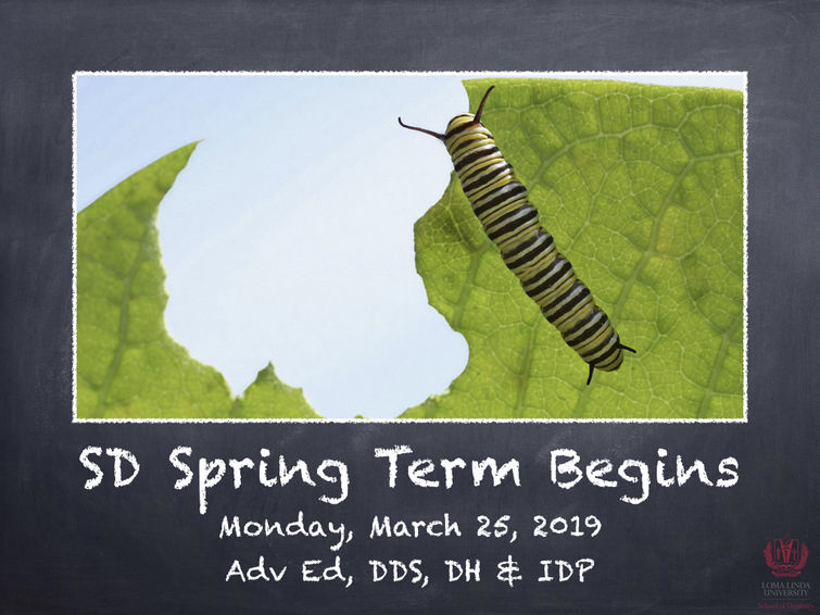 SD Spring Term Begins (Adv Ed, DDS, DH & IDP)
