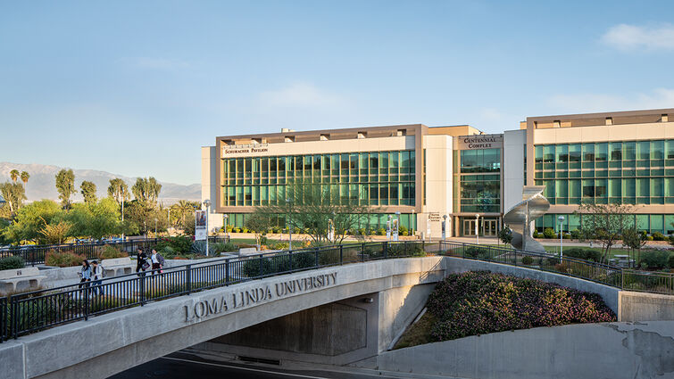 Future Doctors Program