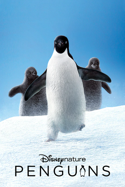 Movie Night - Penguins