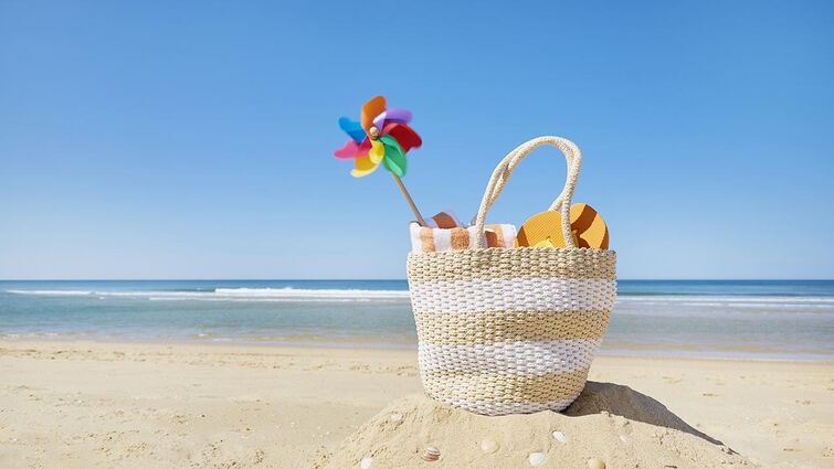 SD Summer Academic Recess (DDS, IDP, & DH)